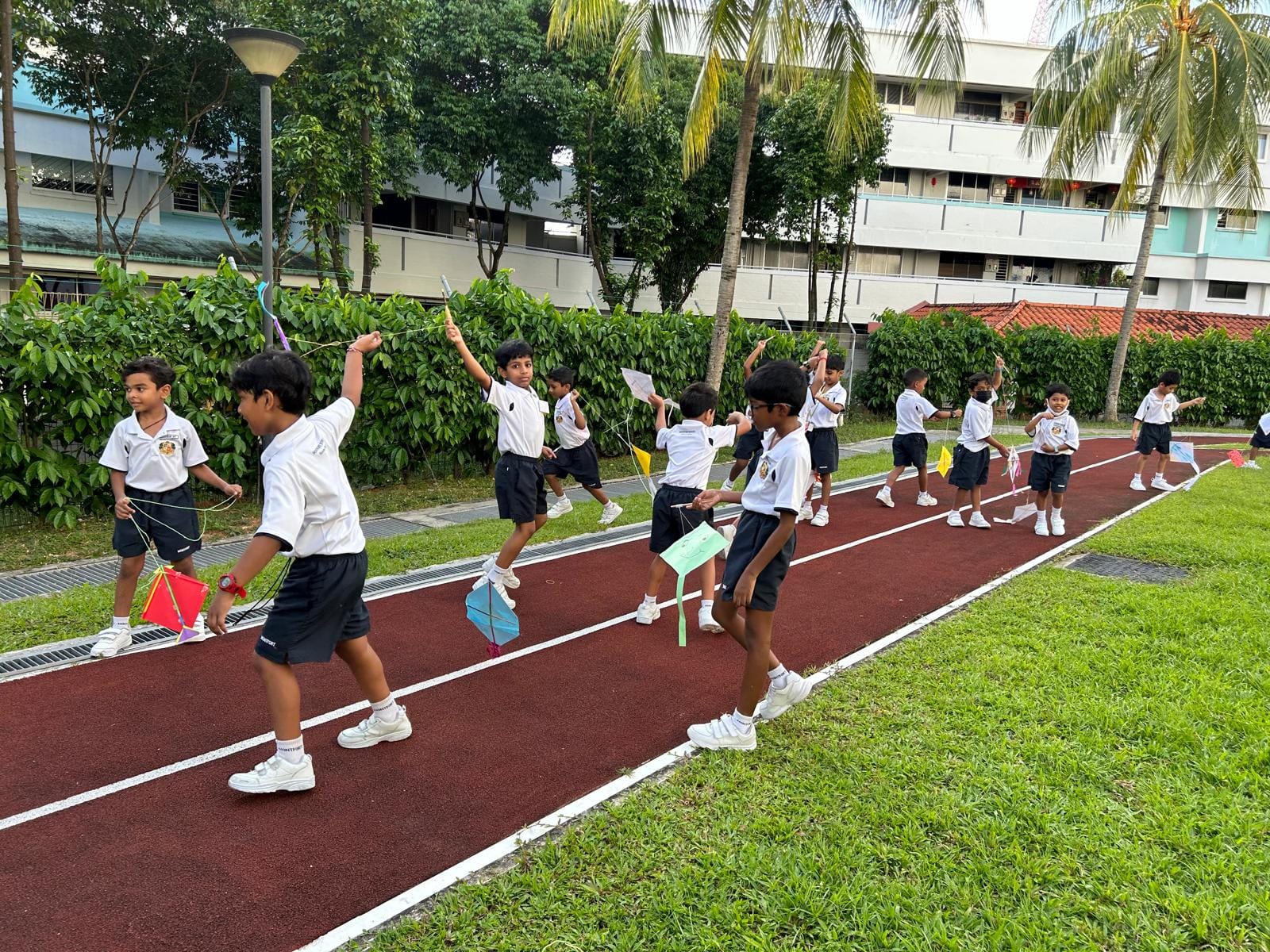Outdoor Activity - Flying the Kite